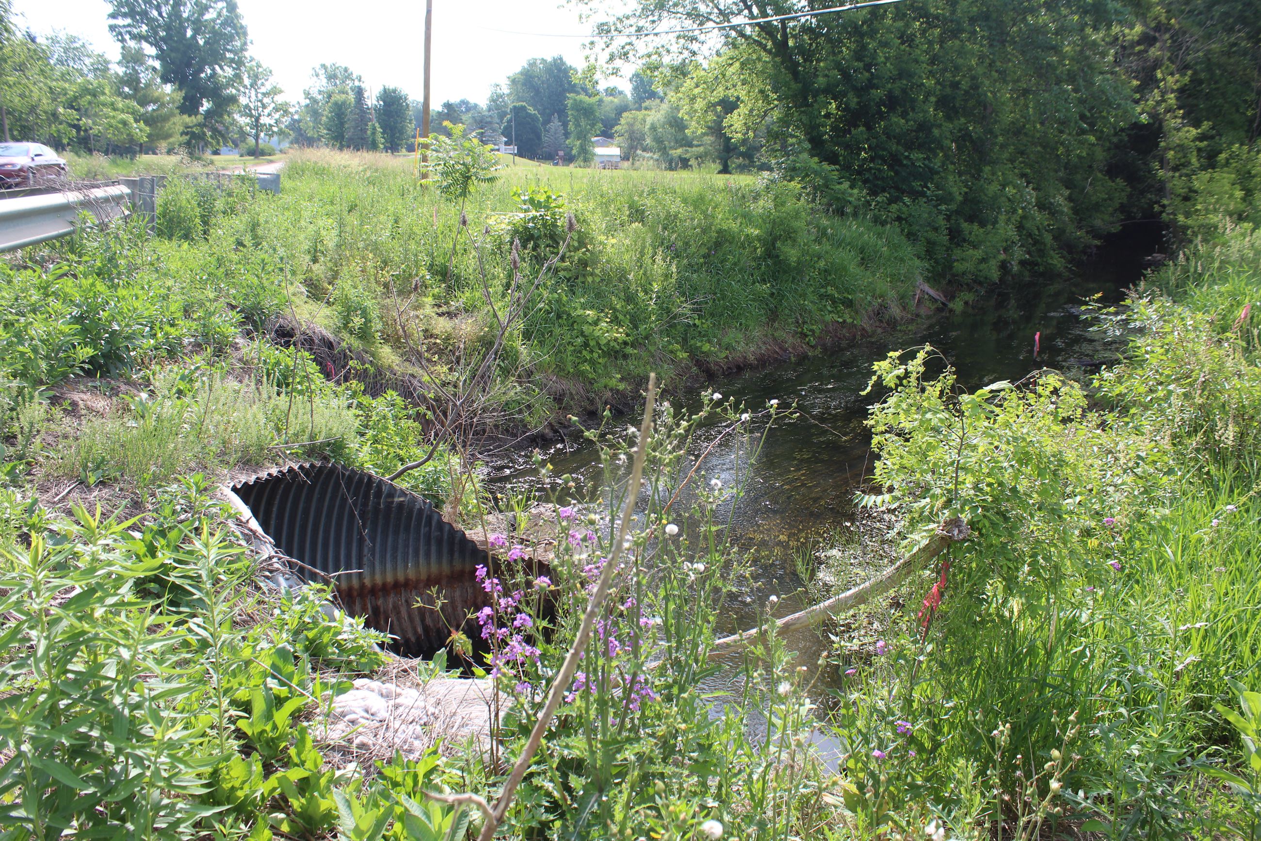 11 Mile Road Culvert East of Milford Road over the Novi-Lyon Drain Preconstruction image