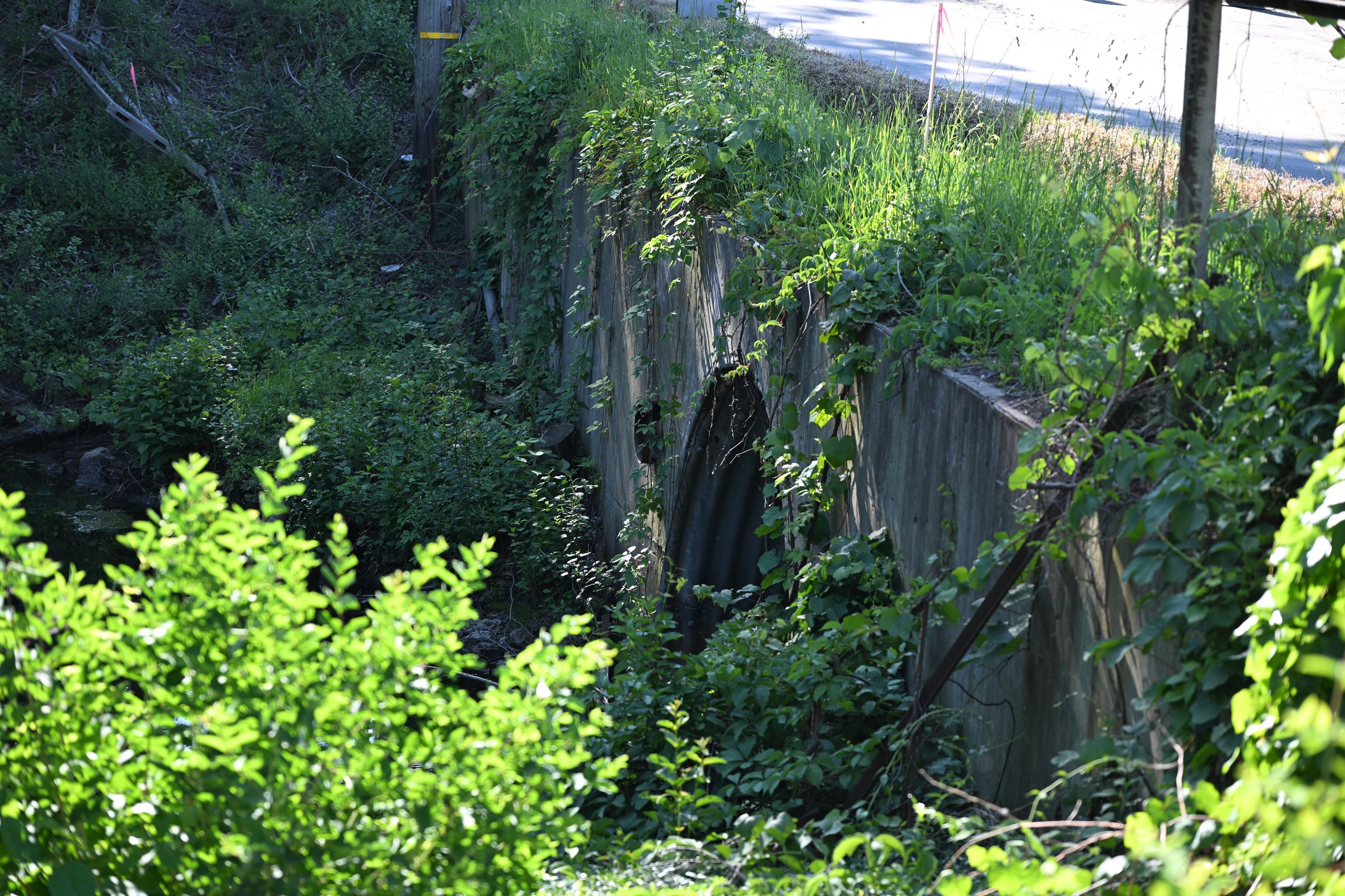 Indianwood Road culvert and road over the bridge (prior to removal of the culvert)
