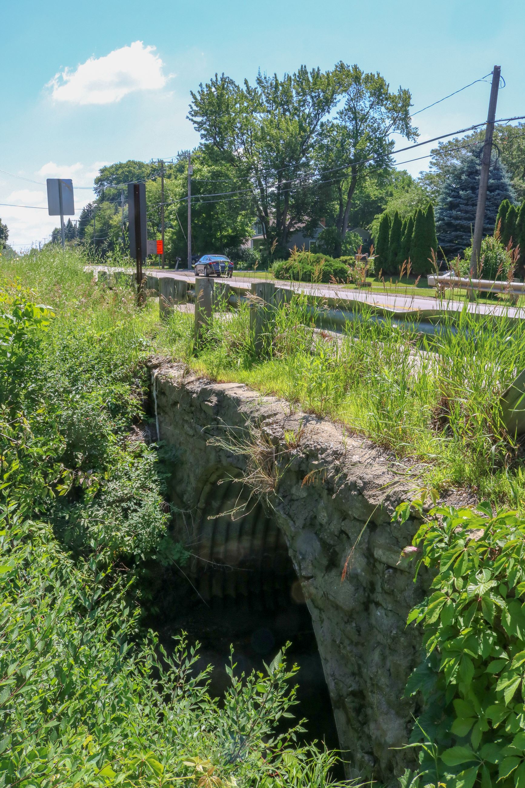 Old Ferry Creek Culvert (7)