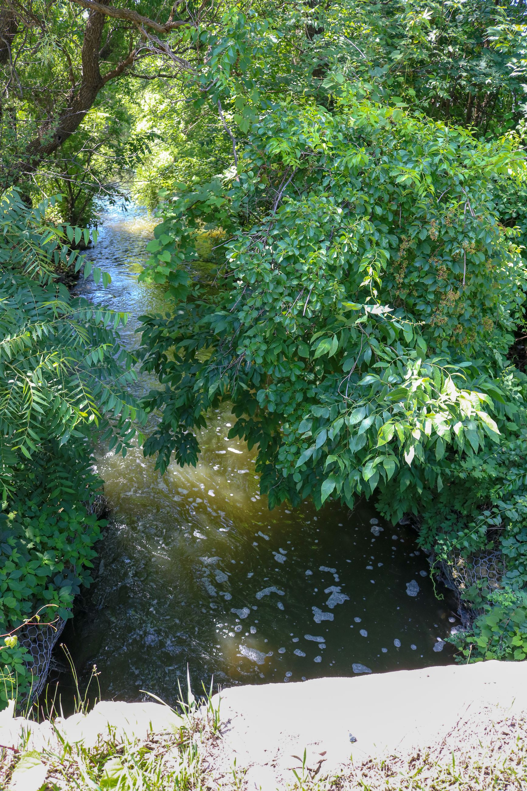 Old Ferry Creek Culvert (11)