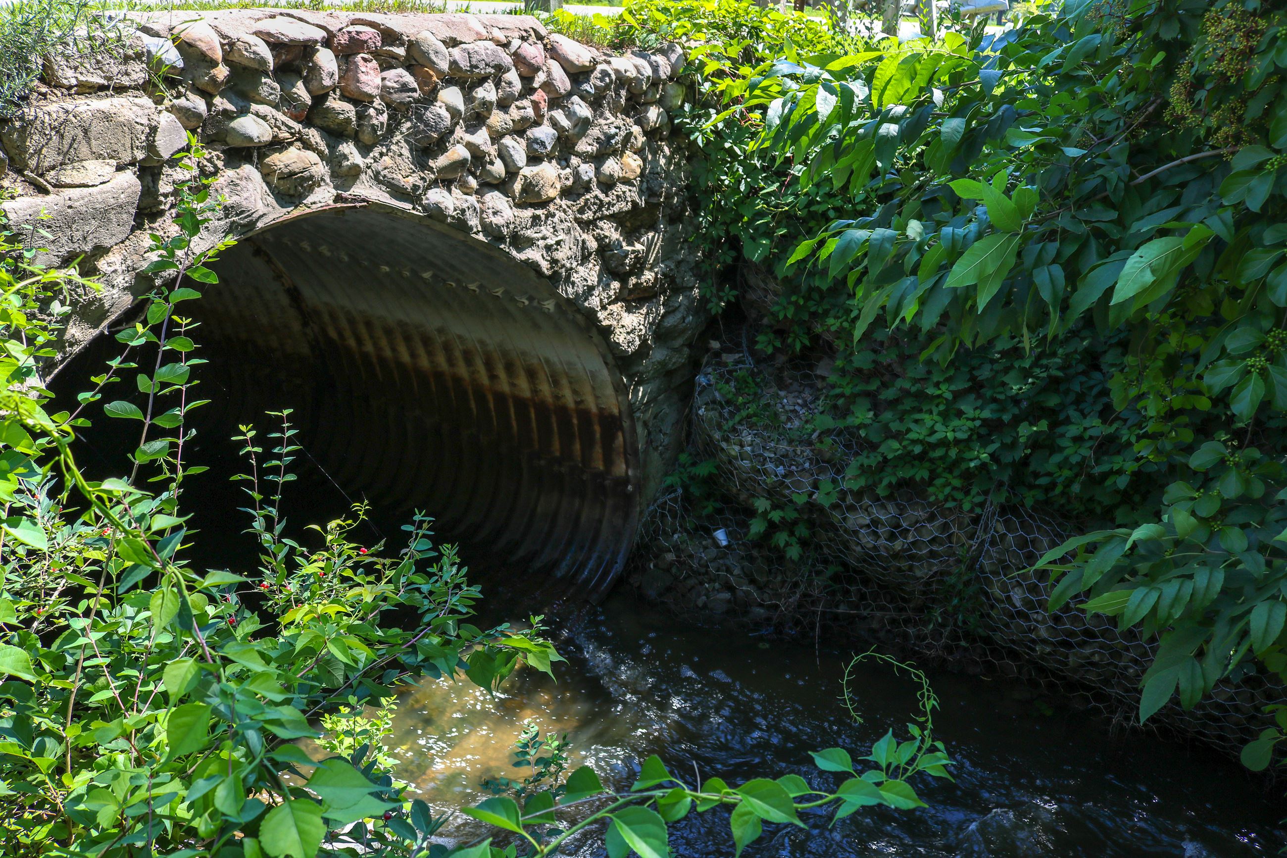 Old Ferry Creek Culvert (1)