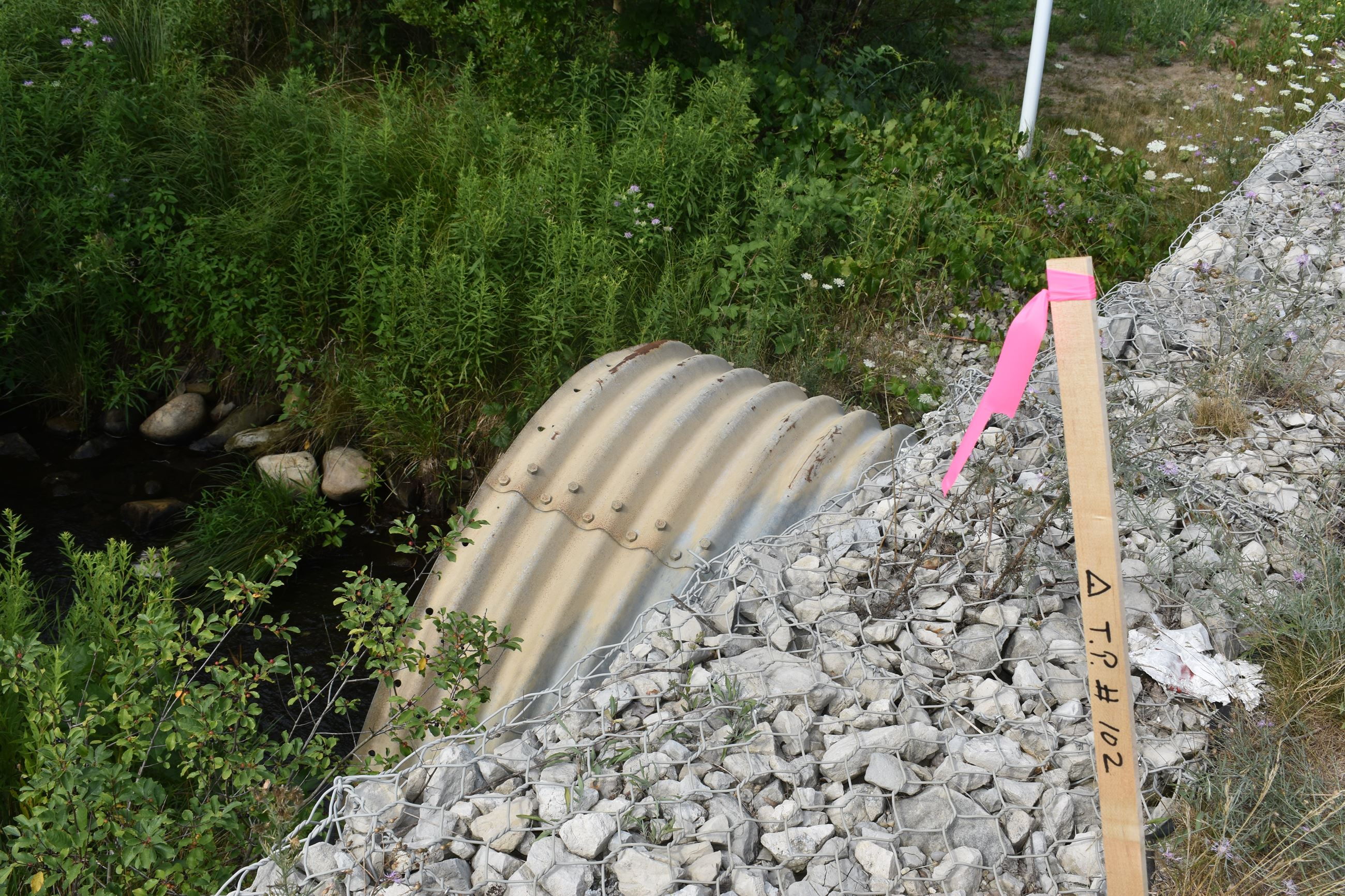 Cooley Lake Road culvert prior replacement (located west of Ford Road)