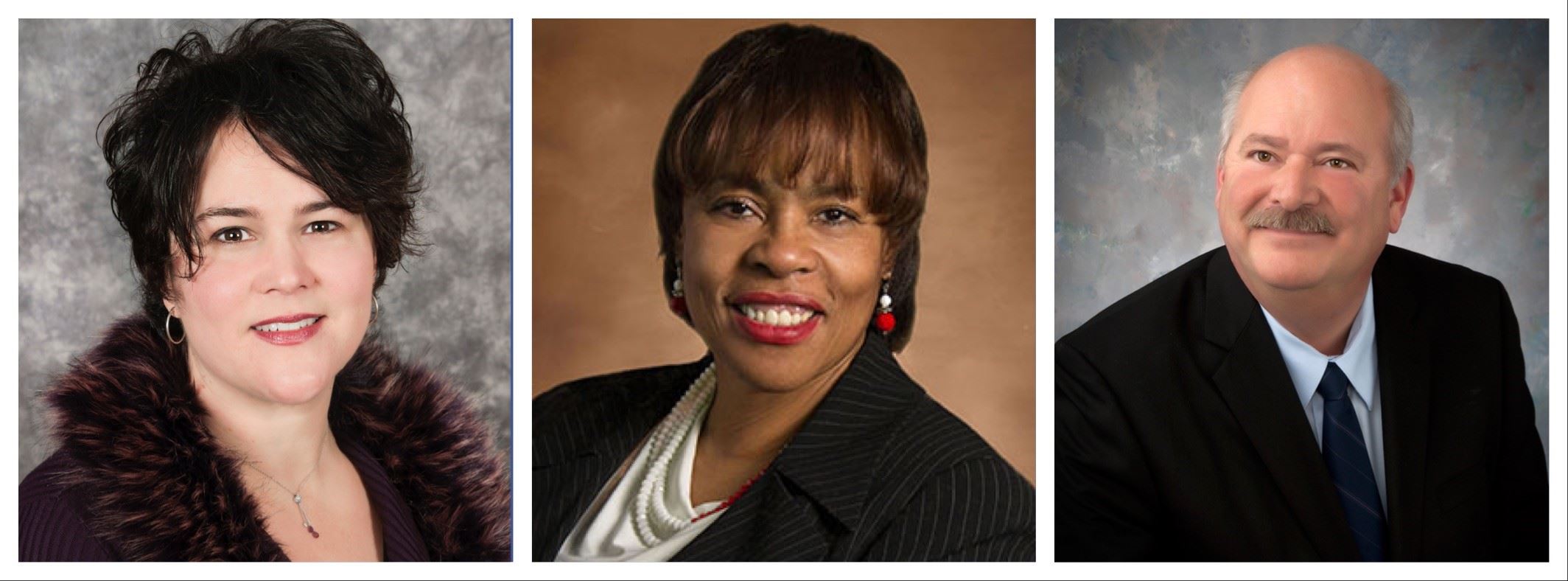 Left to right, Andrea LaLonde (Chair), Nancy Quarles (Vice Chair) & Ron Fowkes (Member)