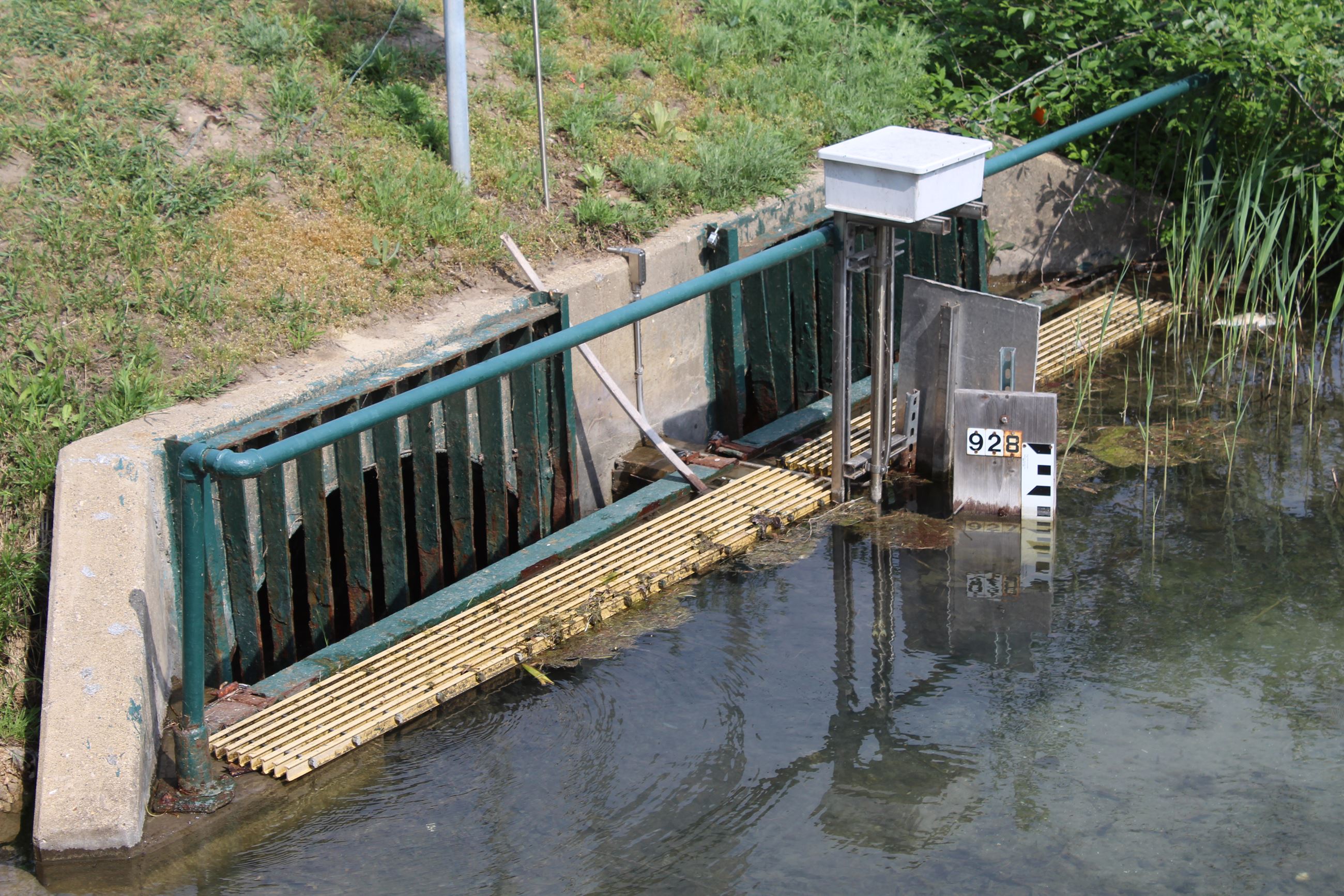 Close up of the culvert/lake-level structure underneath Union Lake Rd. just south of Wise Rd.