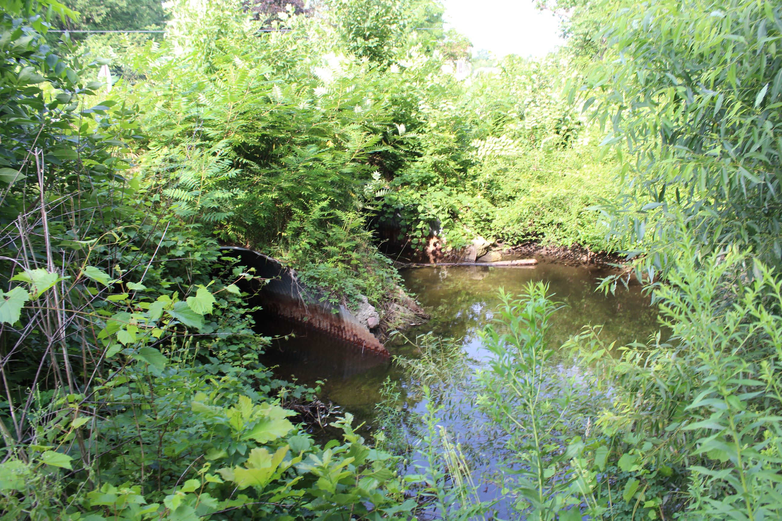 The existing culverts under 11 Mile Rd. to be replaced just east of South Hill Rd. in Lyon Township