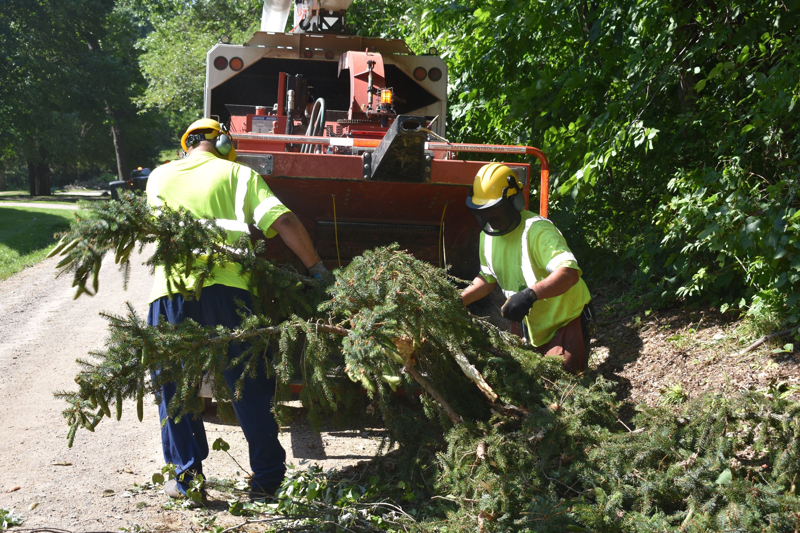 2021 storm clean up along Cross Road in White Lake Township, featuring tree debris removal 