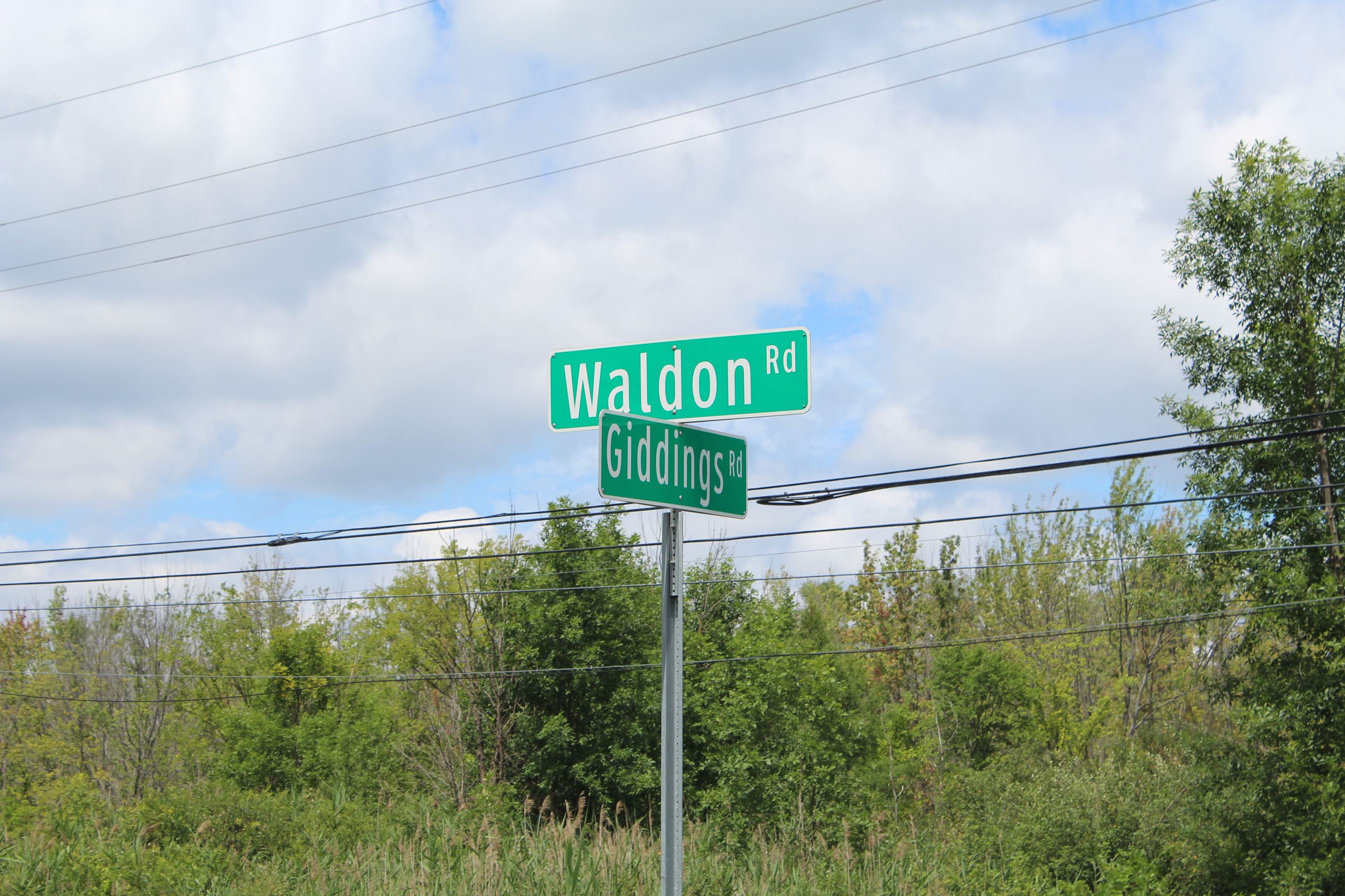 Waldon Rd./Giddings Rd. intersection street sign in Orion Township