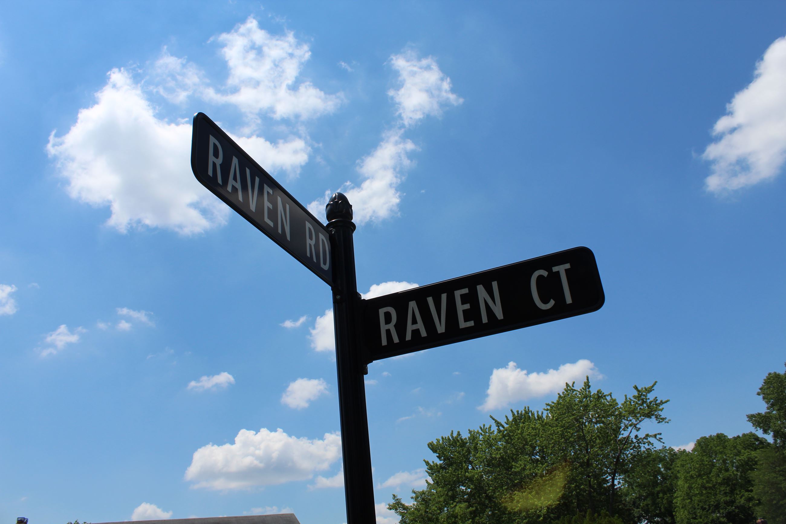 Raven Rd./Raven Ct. street sign in the Kirkwood SAD in Bloomfield Township
